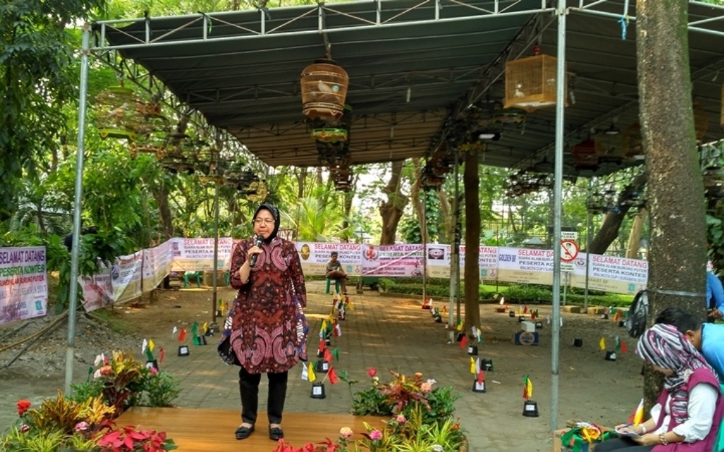 Kontes Burung Puter Ramaikan HUT Surabaya