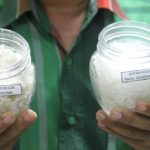 Surabaya Kosong Stok Garam, Pemkot Tunggu Kebijakan Pemerintah Pusat