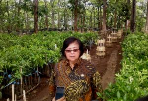 Kejakgung Geledah Rumah Eks Menteri Siti Nurbaya Korupsi Sawit Kejakgung Geledah Rumah Eks Menteri Siti Nurbaya Korupsi Sawit