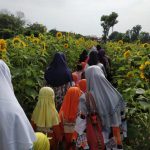 Bermain dan Belajar di Kebun Bunga Matahari, Spot Baru Wisata Alam dan Pendidikan di Kota Kediri