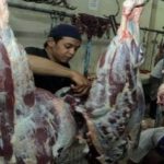 RPH Surabaya Aman dari Virus Flu Babi