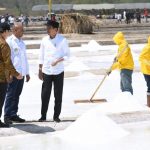 Presiden Tinjau Produksi Tambak Garam di Kupang Timur