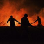 Kebakaran Hutan di Turki, Tidak Ada WNI yang Menjadi Korban