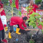 Rawat Kehidupan, Kader Banteng Surabaya Tanam Pohon dan Bersih-bersih Daerah Aliran Sungai