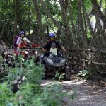 Pemkot Surabaya Terapkan Retribusi Tiket Masuk Romokalisari Adventure Land dan Kebun Raya Mangrove