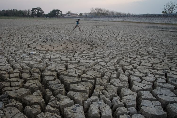 Pengamat Lingkungan Ingatkan Dampak Fenomena El Nino