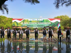 Khofifah Bersama PT PLN Lakukan Penanaman 20 Ribu Mangrove di Gunung Anyar Surabaya 