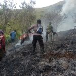 Perhutani Padamkan Api di Kawasan Tahura Malang