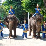 HUT ke-107 KBS Sajikan Parade Satwa dan Budaya