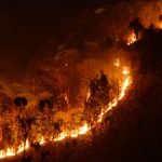 Kebakaran di Gunung Lawu, BNPB Terjunkan Helikopter Water Bombing