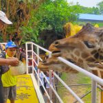 Suka Cita di Kebun Binatang Surabaya
