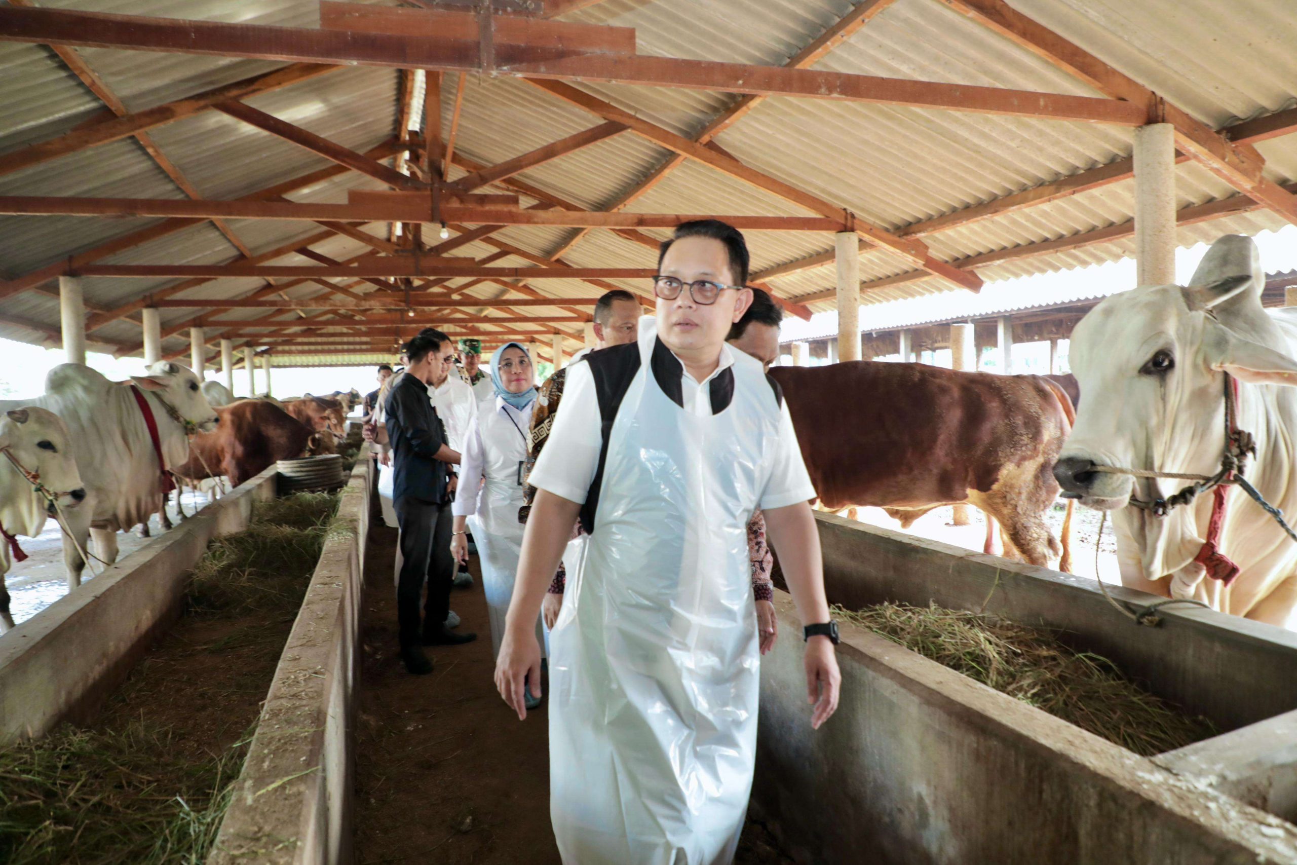 Juleha Siap Ditugaskan di 30.229 Lokasi Pemotongan Hewan Kurban