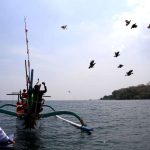 Ayam Sap Sap, Jaga Tradisi Masyarakat Pesisir Situbondo