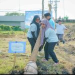 Perkuat Industri Hijau, SIER Tanam Ratusan Trembesi di PIER