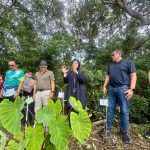 Rocky dan Hasto Ibaratkan Mangrove Wonorejo Benteng Hidup dari Tsunami
