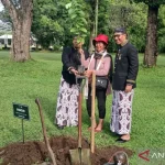 Pengunjung Pertama Borobudur Tahun 2026 Dapat Suvenir dan Menanam Pohon