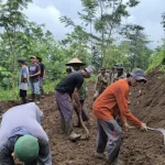 TMMD Situbondo, Warga dan TNI Buka Akses Jalan Ke Perkebunan