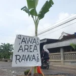 Warga Protes Jalan Rusak di Banyak Tempat, Begini Respons Pemkab Tulungagung