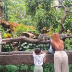 Libur Lebaran, Kebun Binatang Surabaya Masih Jadi Wisata Favorit