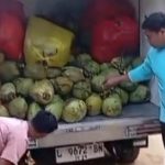 Operasional 9 Dapur MBG di Gresik Ditutup Sementara