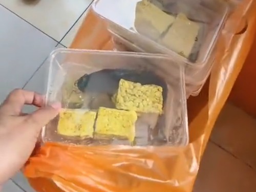 Bagikan MBG Menu Lele Marinasi Mentah, SPPG di Pamekasan Ditutup