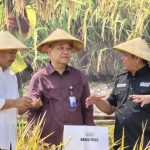 Panen Raya di Jombang Tembus 13,6 Ton, Sumrambah : Bukti Inovasi Desa