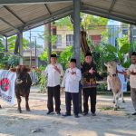 Muhammadiyah Surprise PDI Perjuangan Jatim Tingkatkan Sumbangan Sapi Kurban