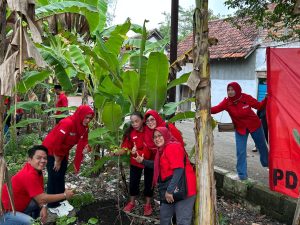 PAC PDI Perjuangan Sukodono Menanam Pohon Sukun Menghidupkan Filosofi Bung Karno