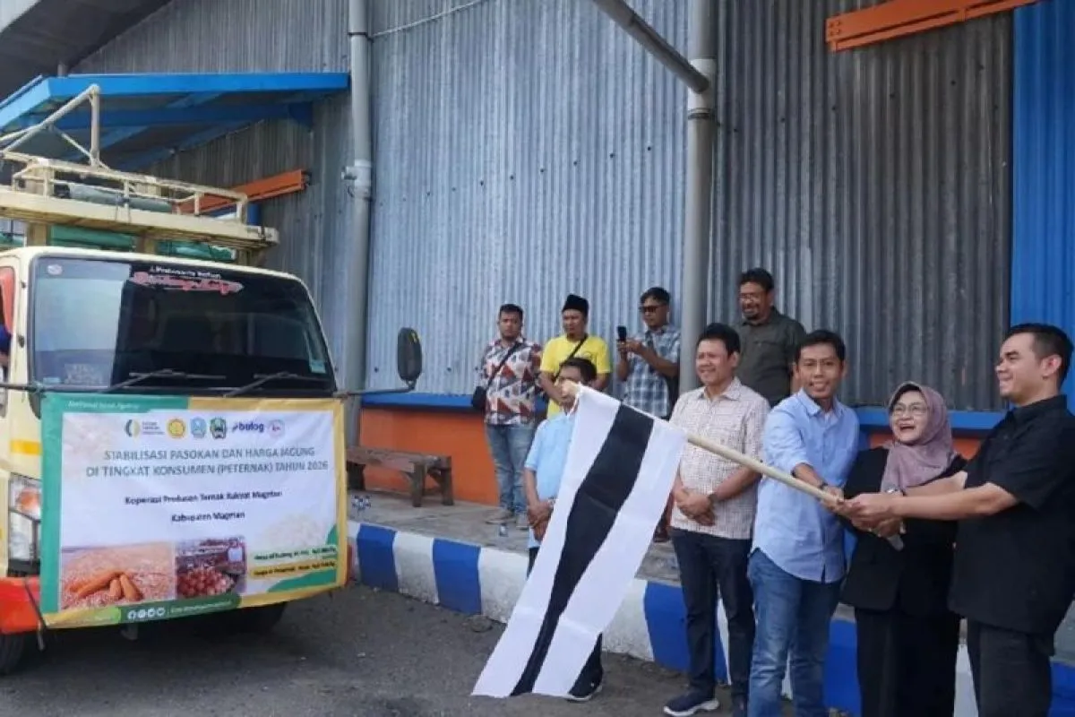 Jagung SPHP Bantu Peternak Magetan Stabilkan Harga Telur