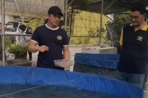 Dinas Perikanan Sidoarjo Fasilitasi dan Latih Budidaya Lele di Lapas Porong