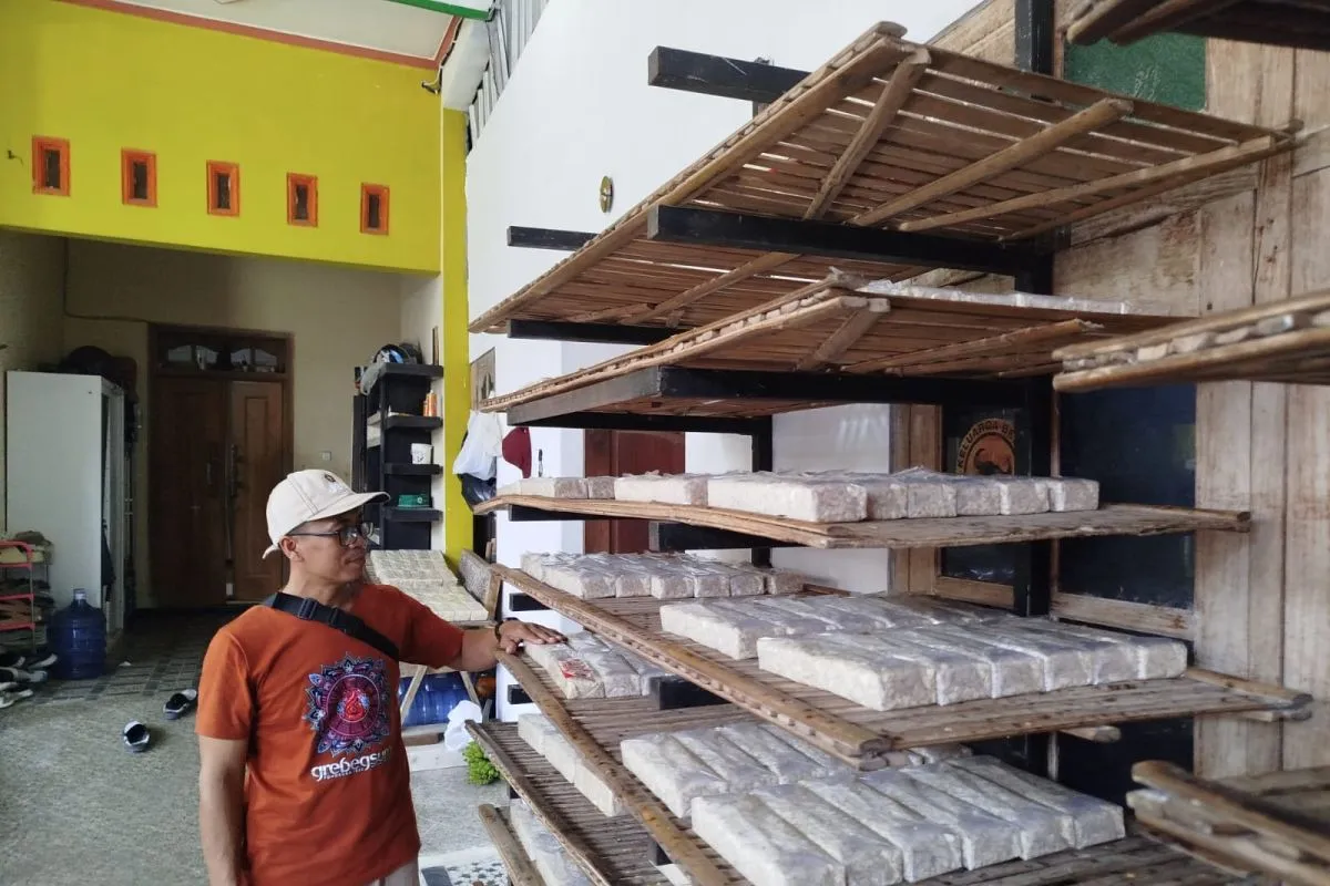 Perajin Tempe Siasati Ukuran Imbas Kenaikan Harga Kedelai