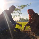 Warga Urang Agung Selipkan Harapan Lewat Penanaman “Pohon Kehidupan”
