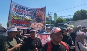 Ratusan Peternak Geruduk DPRD Jatim, Protes Harga Telur Anjlok