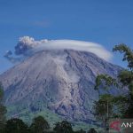 TNBTS Tangkap 13 Pendaki Ilegal di Gunung Semeru