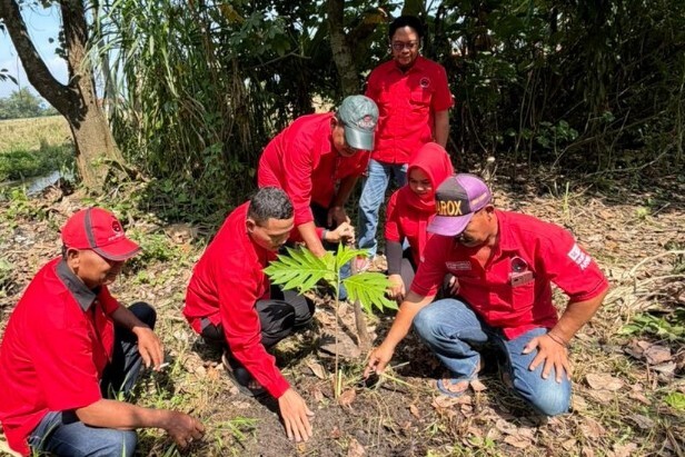 Kedaulatan Pangan, PDI Perjuangan Jatim Gerakkan Tanam Sukun Massal
