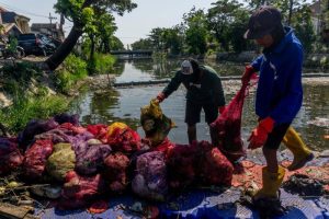 Surabaya Jadi Percontohan Program RI-UEA Cegah Sampah Plastik ke Laut Surabaya Jadi Percontohan Program RI-UEA Cegah Sampah Plastik ke Laut