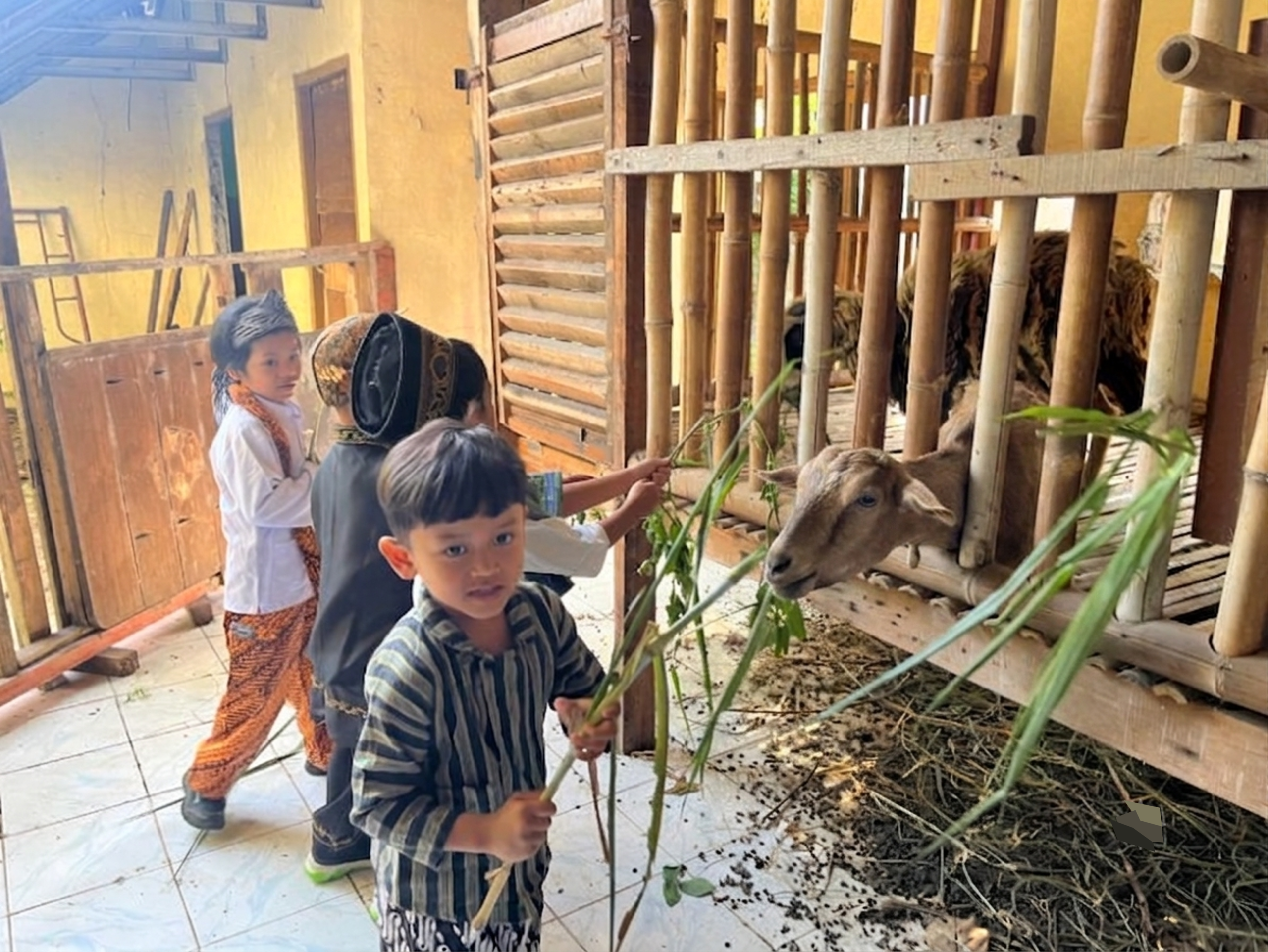 TK Siti Maryam Peringati Hari Anak Nasional lewat Jejak Budaya Keluarga TK Siti Maryam Peringati Hari Anak Nasional lewat Jejak Budaya Keluarga