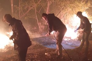 Kemarau Panjang 838 Hektare Hutan TN Baluran Terbakar