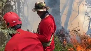 Kebakaran di Tahura R. Soerjo Mojokerto Belum Padam Kebakaran di Tahura R. Soerjo Mojokerto Belum Padam