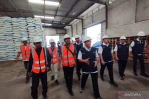 Pupuk Indonesia Pastikan Stok Pupuk Bersubsidi di Jatim Aman Pupuk Indonesia Pastikan Stok Pupuk Bersubsidi di Jatim Aman