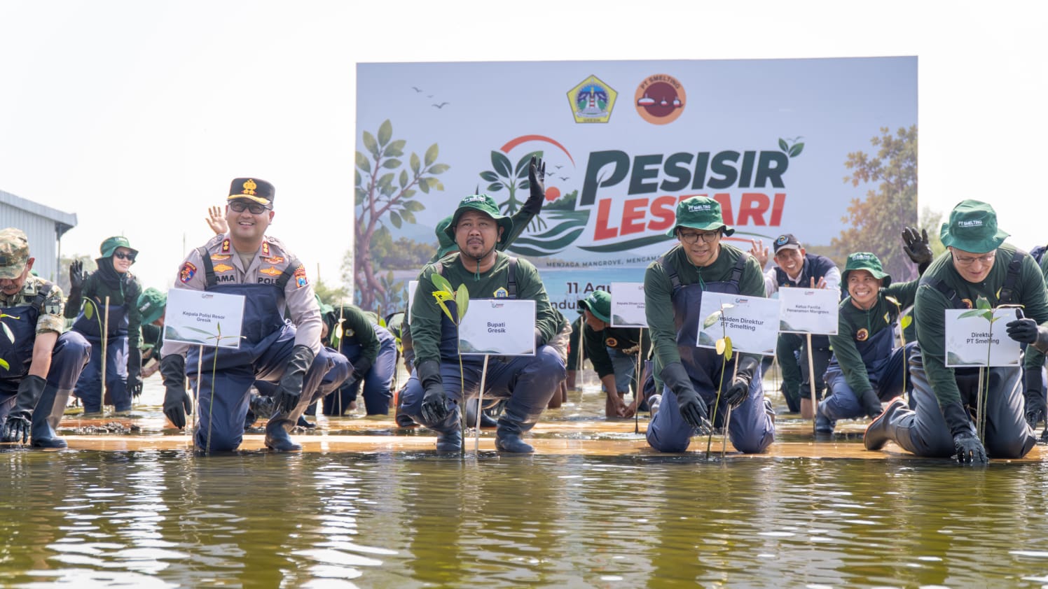 Pemkab Gresik – PT Smelting Tanam 10.000 Mangrove di Kawasan Pesisir