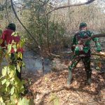 Karhutla di Taman Nasional Baluran Mencapai 2.207 Hektar