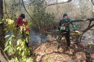 Karhutla di Taman Nasional Baluran Mencapai 2.207 Hektar Karhutla di Taman Nasional Baluran Mencapai 2.207 Hektar