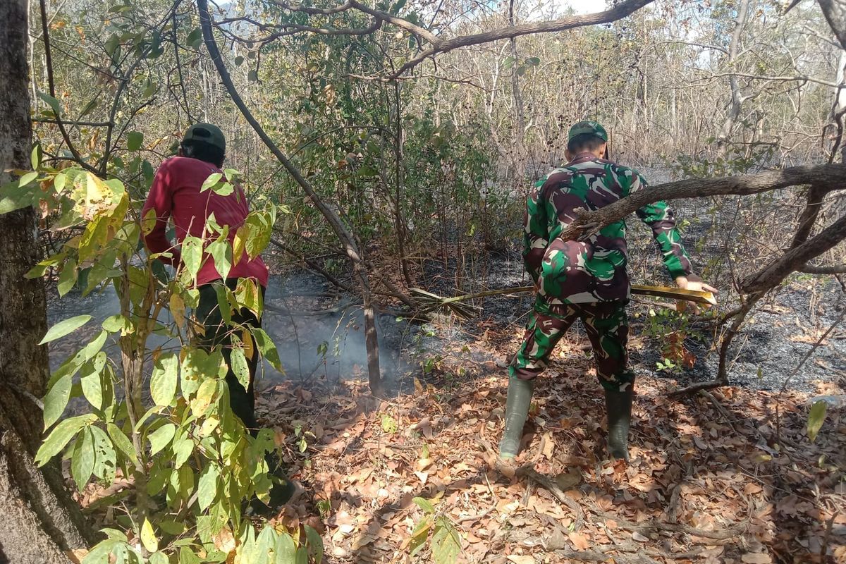 Karhutla di Taman Nasional Baluran Mencapai 2.207 Hektar Karhutla di Taman Nasional Baluran Mencapai 2.207 Hektar