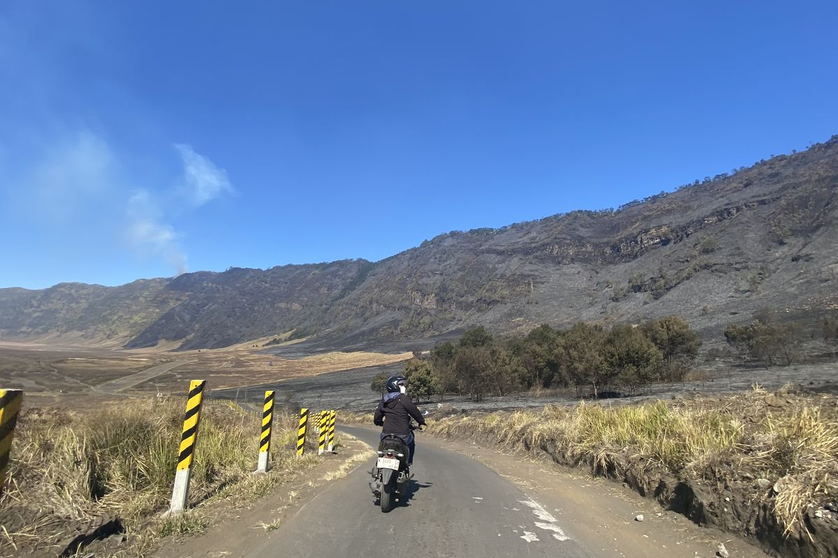 Imbas Kebakaran Savana Bromo Kini Jadi Hamparan Hitam Imbas Kebakaran Savana Bromo Kini Jadi Hamparan Hitam