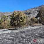 Bromo Ditutup 2.000 Wisatawan Batalkan Tiket Masuk
