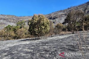 Bromo Ditutup 2.000 Wisatawan Batalkan Tiket Masuk