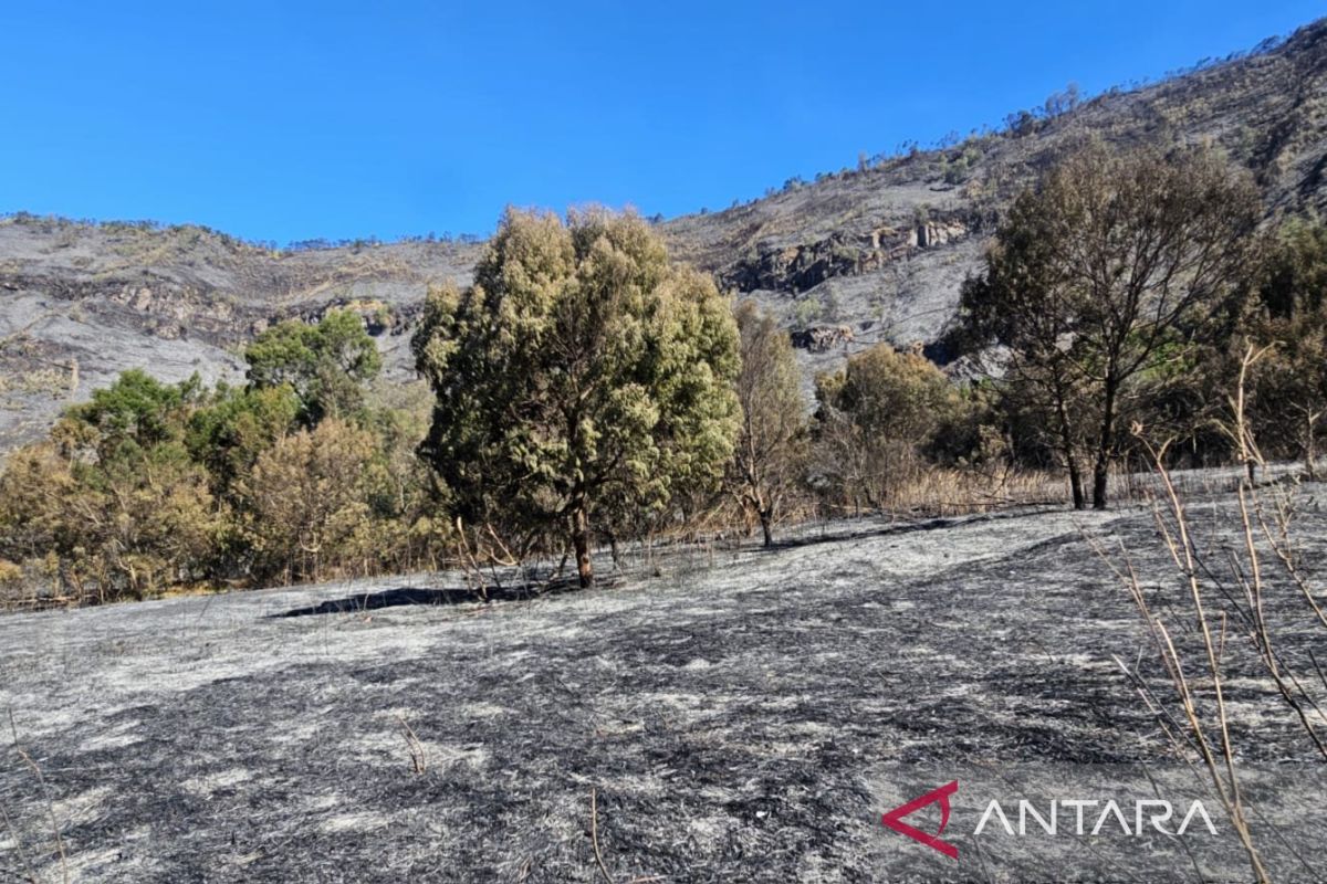 Bromo Ditutup 2.000 Wisatawan Batalkan Tiket Masuk Bromo Ditutup 2.000 Wisatawan Batalkan Tiket Masuk