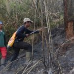 Imbas Kebakaran Ranu Kembang, Jalur Semeru Ditutup Total