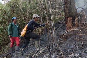 Imbas Kebakaran Ranu Kembang, Jalur Semeru Ditutup Total Imbas Kebakaran Ranu Kembang, Jalur Semeru Ditutup Total